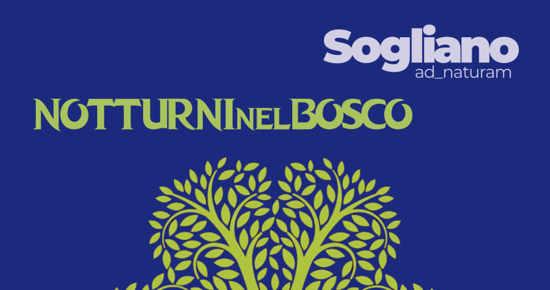 Notturni nel Bosco 2025